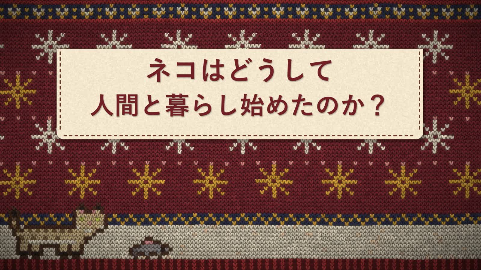 Анимационный PoC Opus 5.5: 38: Knit